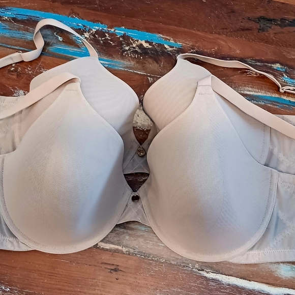 Natori 32DDD (F) or 32 G nude mesh t-shirt bras - Picture 2 of 6